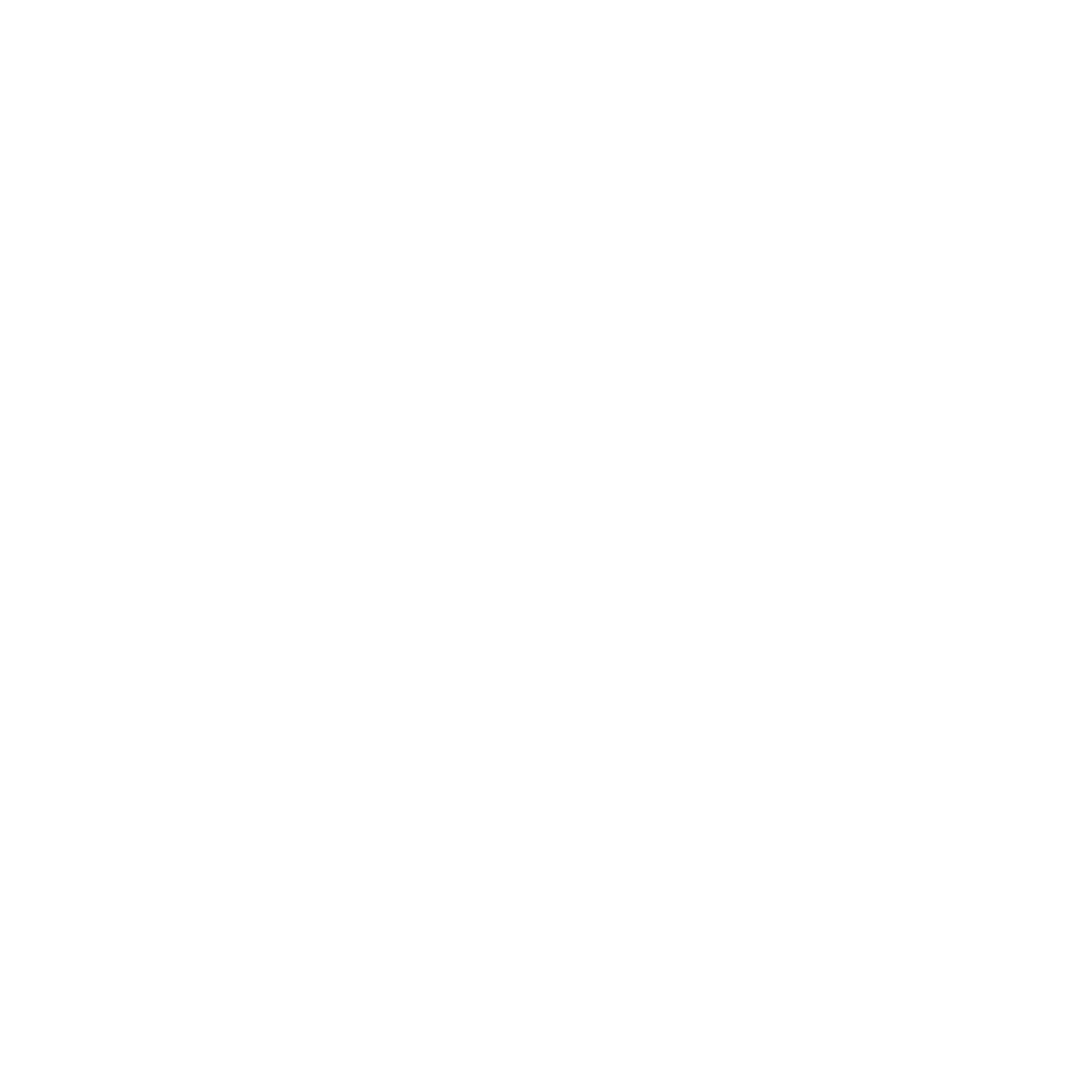 Dark Wing Academy